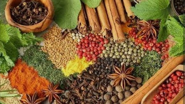 افضل الأعشاب لرفع