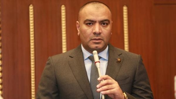 النائب محمد أبوحجازي