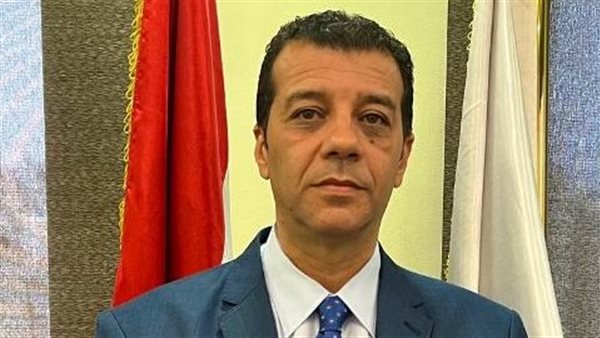 المستشار وليد حمزة